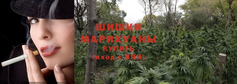 где найти наркотики  Лысково  Каннабис White Widow 